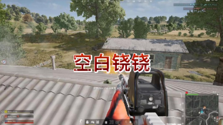 Alpaca左雾训练赛