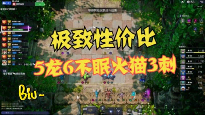 5龙6不眠火猫3刺，极致性价比