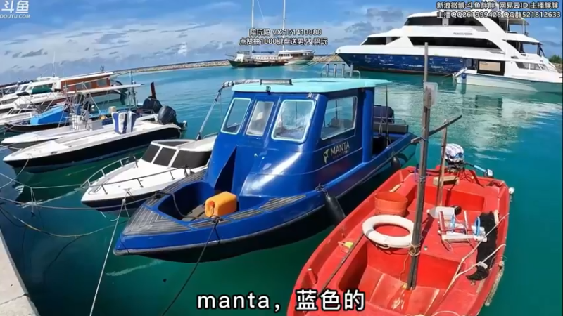 【2022-05-22 03点场】胖胖灬：胖胖OB：GALA牛 给T1 AD上课！