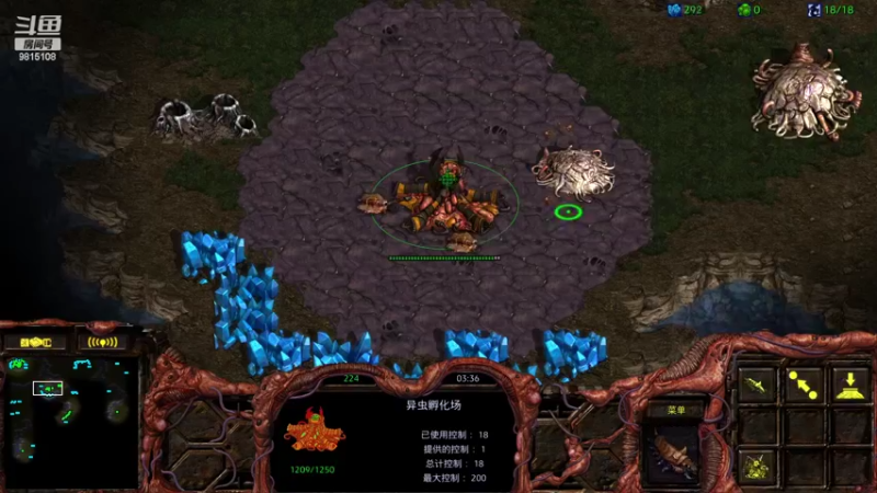 Big 1v1 ZvR
