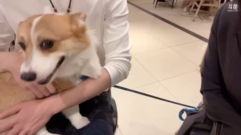 【2022-05-22 23点场】douyu小漠：小漠：成都最后一天！