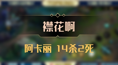 【襟花啊】阿卡丽 14杀2死