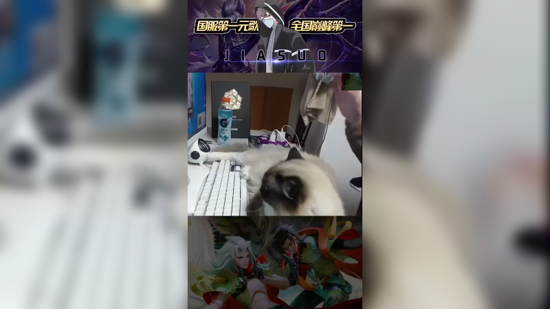 哪一个才是真正的我