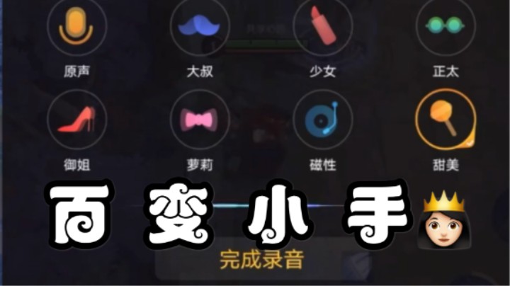 【不可一世杀手】莆 田 变 声 器