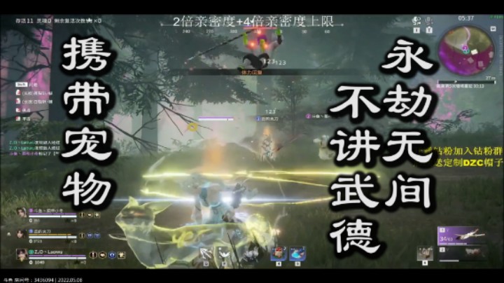 永劫无间,不讲武德,携带宠物