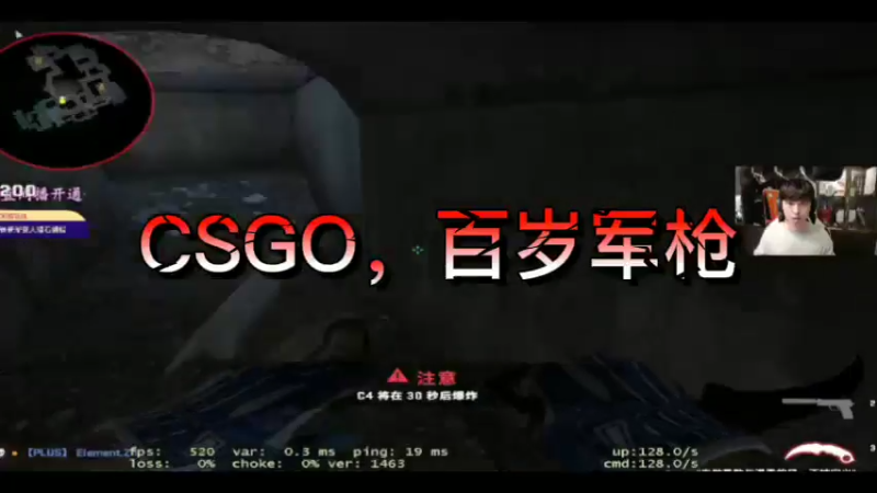 CSGO，百岁军枪