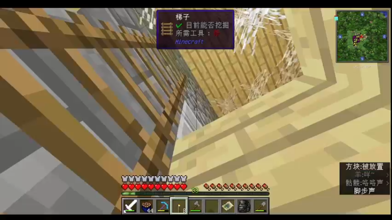 【2022-05-24 02点场】Adoraz：【废物姑娘】Freelancegamer