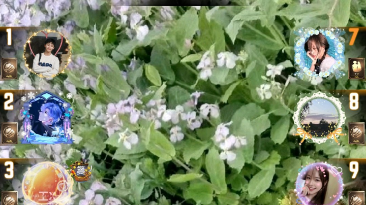 #天天狼人#小丸子