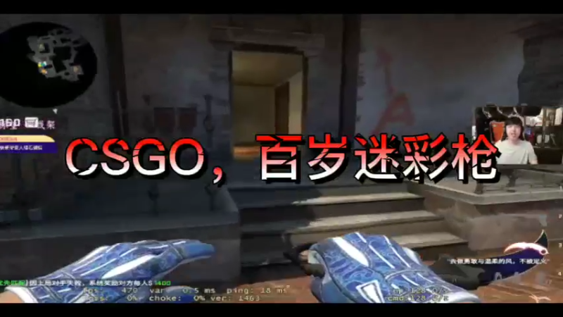 CSGO，百岁迷彩枪