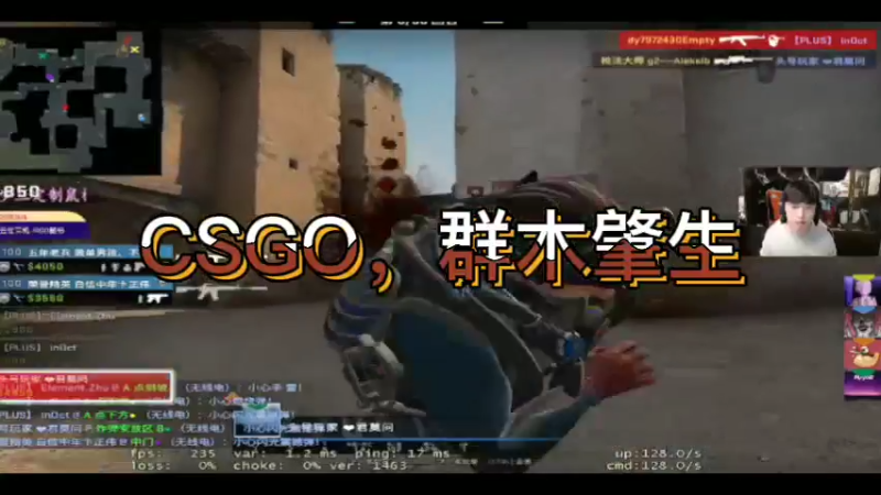 CSGO，群木肇生