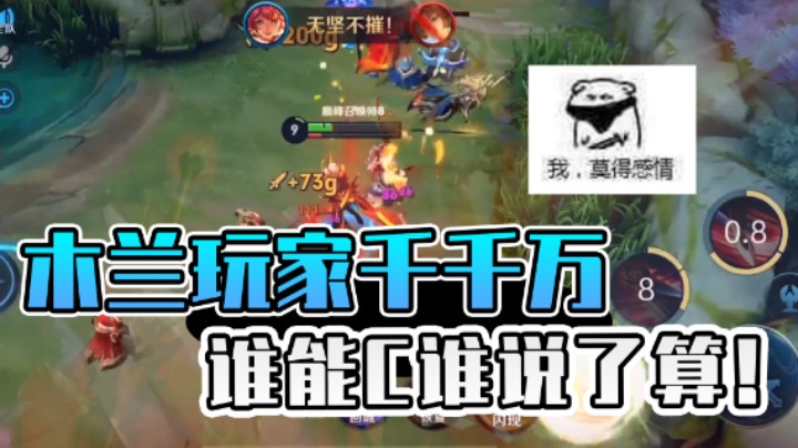【羽辰鸽鸽丶】虚假的国服木兰VS真正的国服木兰！都给爷死！