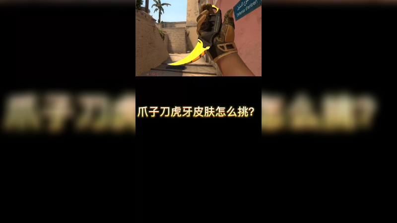 【csgo皮肤挑选】虎牙爪子刀挑选方法~