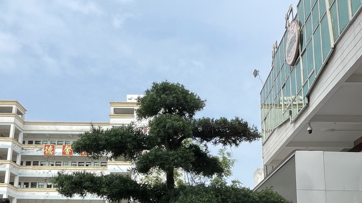 难搞哦