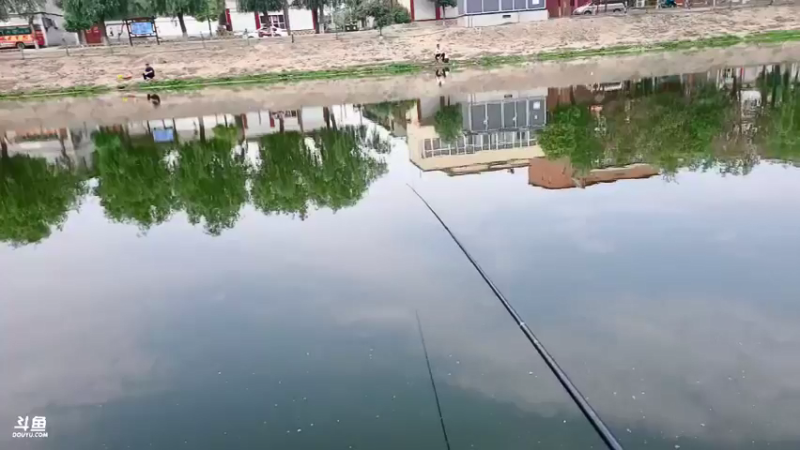 【2022-05-26 09点场】郑伟丶：直接开始钓鱼