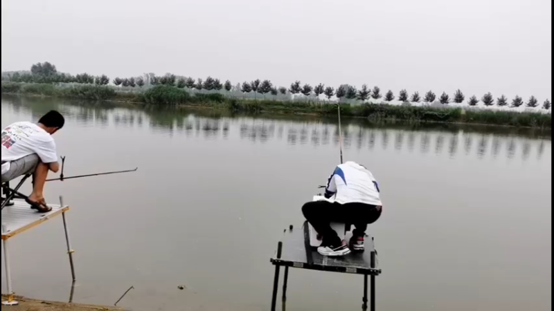 【2022-05-26 09点场】中华户外钓鱼：武汉钓鲢鳙