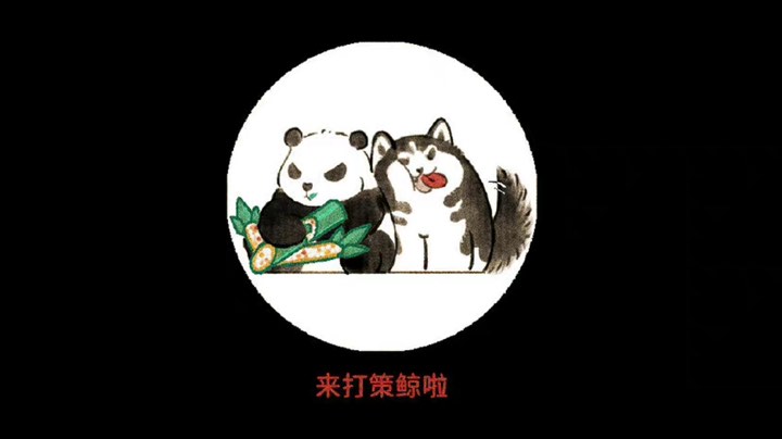 鸭波流