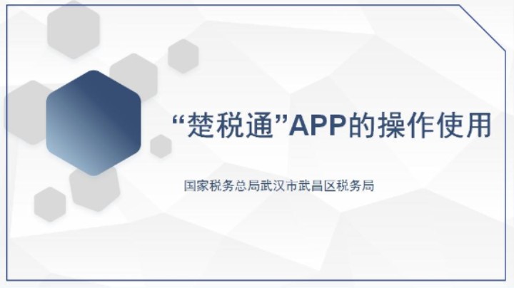 【正能量】“楚税通”APP的操作使用20220526 09点场