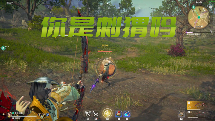 【sysyu】你是刺猬吗