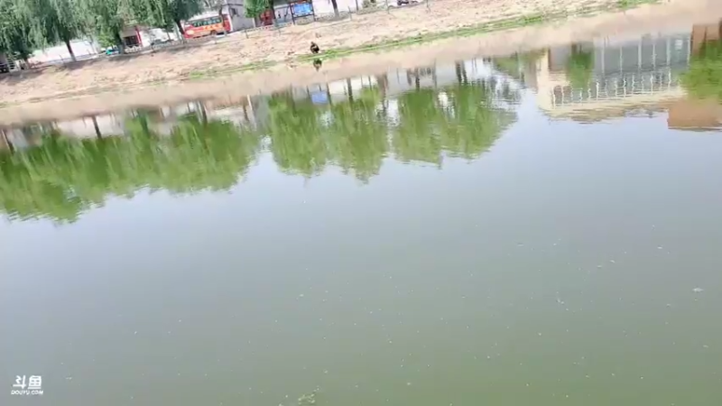 【2022-05-26 11点场】郑伟丶：直接开始钓鱼