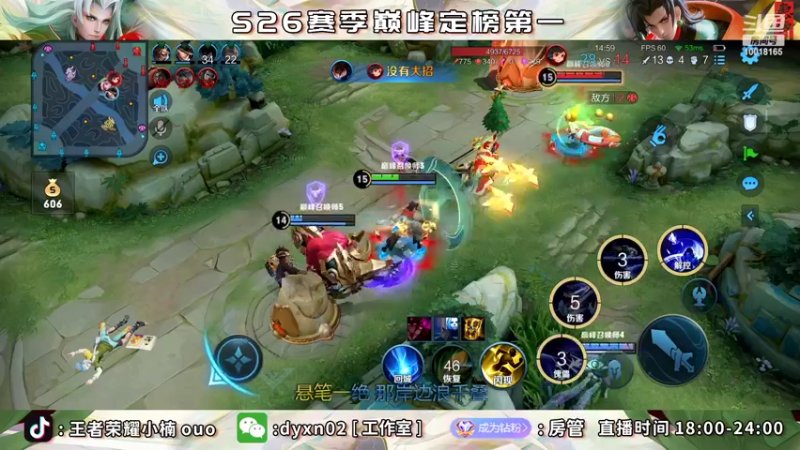 【2022-05-25 22点场】小楠ouo：巅峰冲第一 10018165