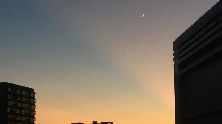 我太难了