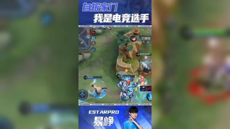 我不是主播，我只是个打电竞的职业选手