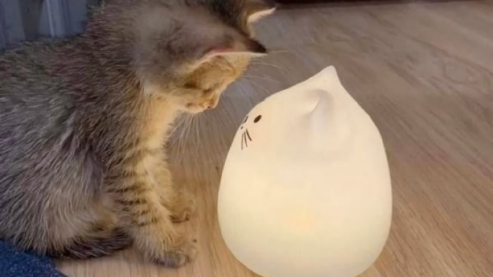 。。