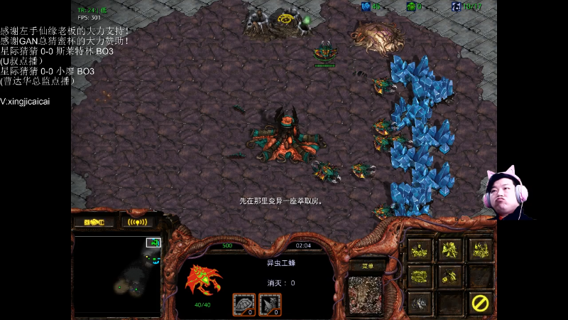 【星际争霸】星际猜猜的精彩时刻 20220526 00点场