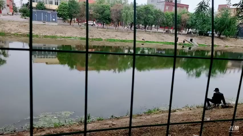 【2022-05-26 07点场】郑伟丶：直接开始钓鱼