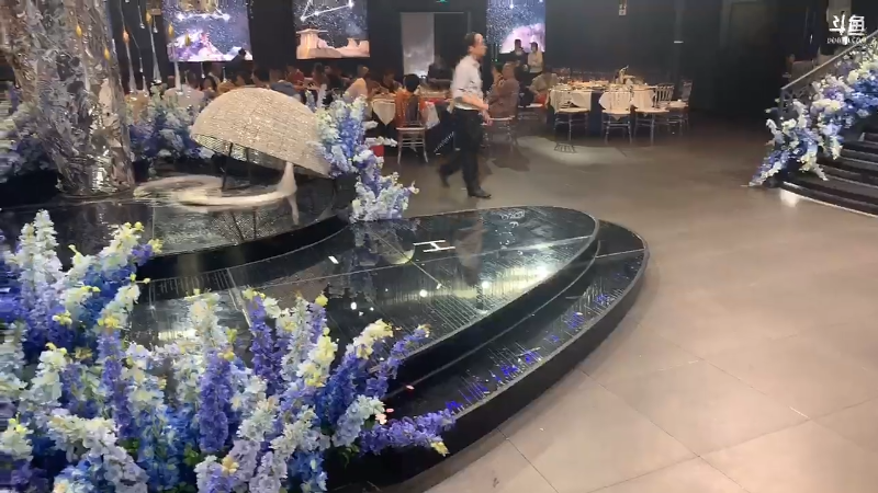 我在斗鱼看游天堂直播格斗游戏