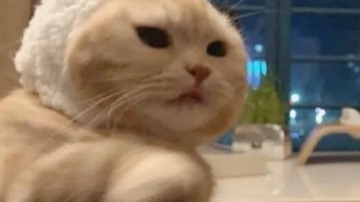 ⁽⁽ଘ( ˙꒳˙ )ଓ⁾⁾