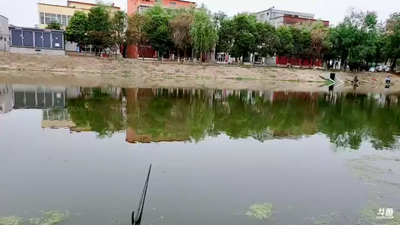 【2022-05-27 10点场】郑伟丶：直接开始钓鱼