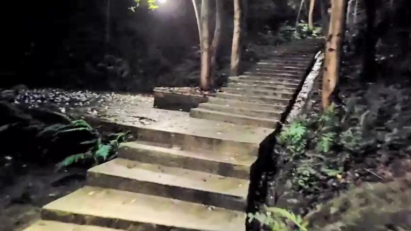 【2022-05-28 20点场】逐梦兄弟：谜底:寻找失踪的董事长～