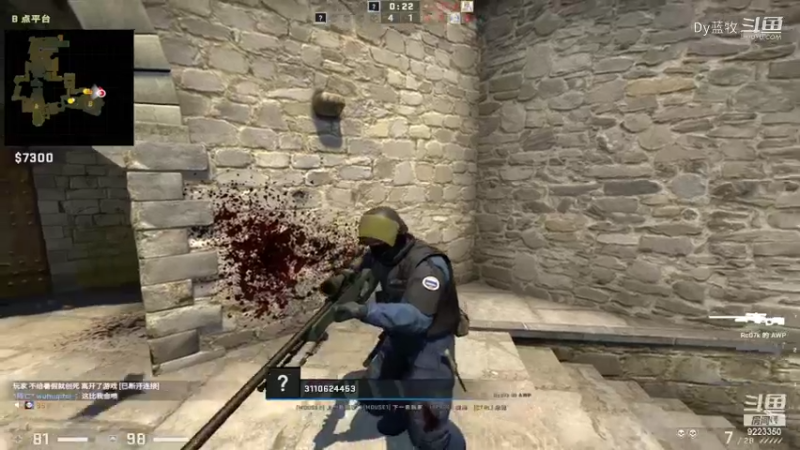 cs：go(25)