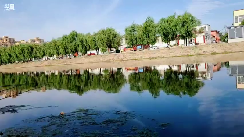 【2022-05-28 08点场】郑伟丶：早上8点见