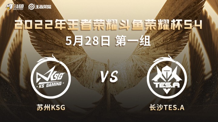 荣耀杯S4 苏州KSG vs 长沙TES 第一场