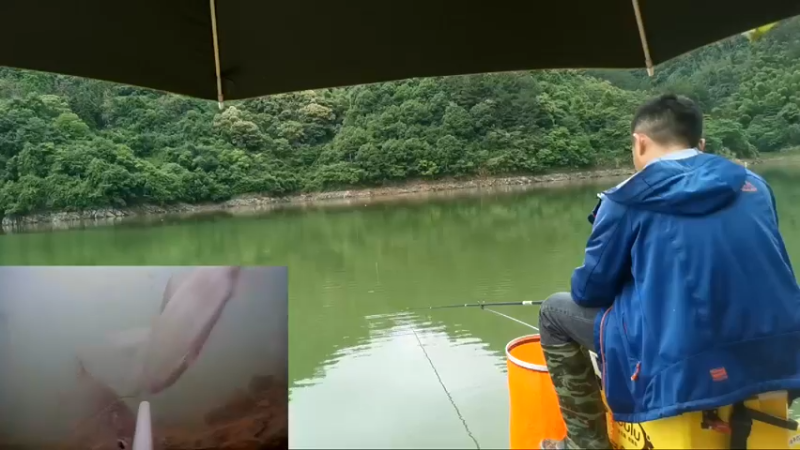 【2022-05-28 16点场】中华户外钓鱼：通山钓黄尾