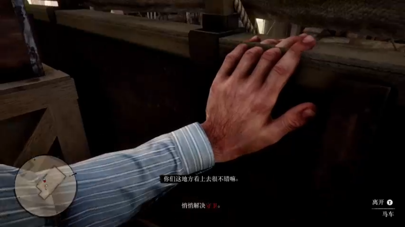 【2022-05-25 21点场】金聚德烤鸭：荒野大镖客2 8924059
