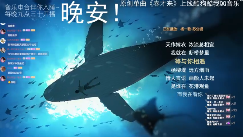 【2022-05-28 01点场】杨一歌：杨一歌：震惊！这歌声太动听！~11258