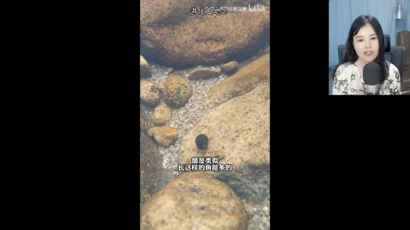 【2022-05-27 21点场】夹克兔：一起拯救世界吧，少年！