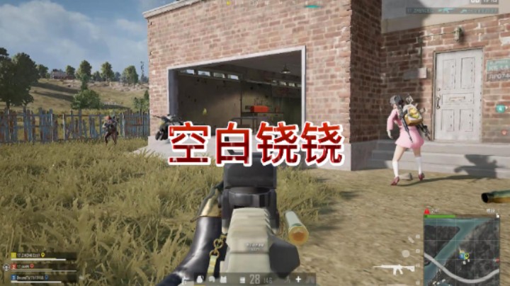 Alpaca招突击手