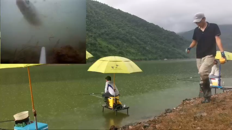 【2022-05-29 15点场】中华户外钓鱼：通山钓黄尾