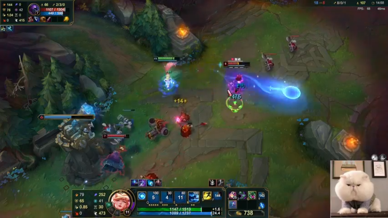 【2022-05-28 21点场】图妹半生：葳蕤繁祉，延彼遐龄