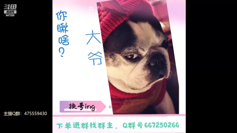 【2022-05-29 11点场】小马锅马杰：马锅：幻之试炼又来啦。