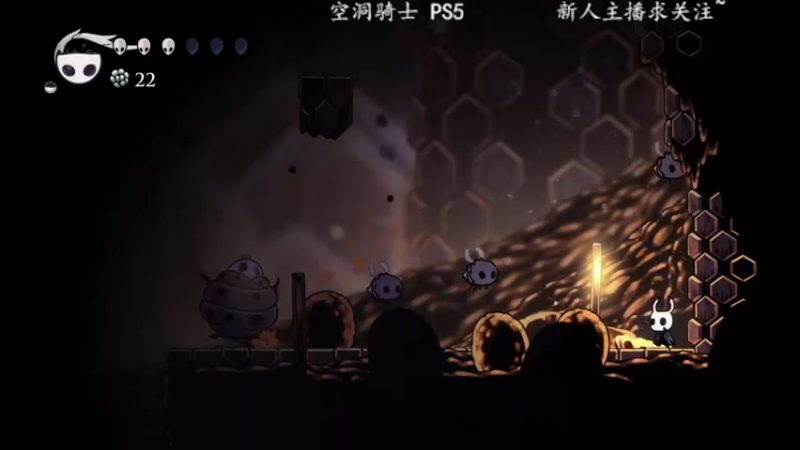 【2022-05-29 15点场】洋叔叔很水：【洋叔叔】空洞骑士