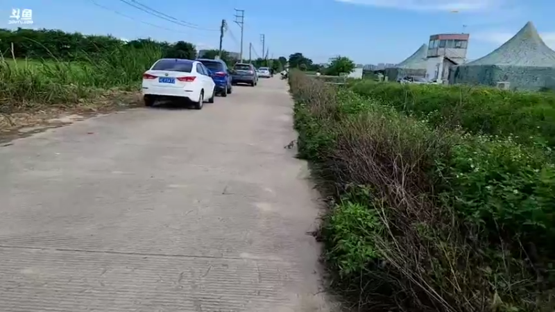 【2022-05-29 16点场】蓝战非OvO：出发增城跳伞