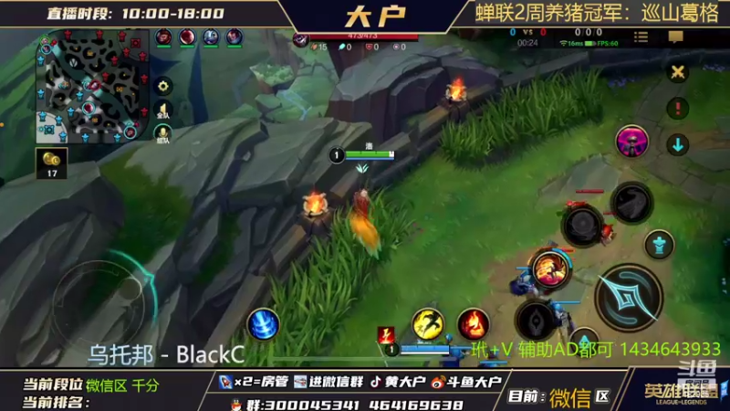 【2022-05-26 09点场】大户呀：辅助专场！露露新皮肤！