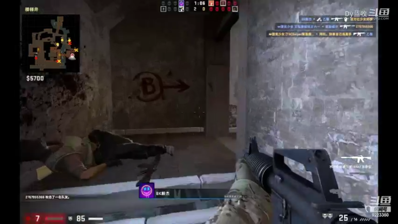 CS:GO(12)