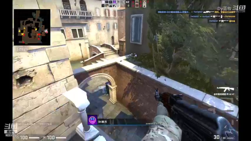 CS:GO(11)