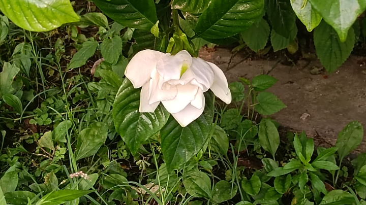 直播日常